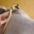 Divergent Theories on Saddle Fitting